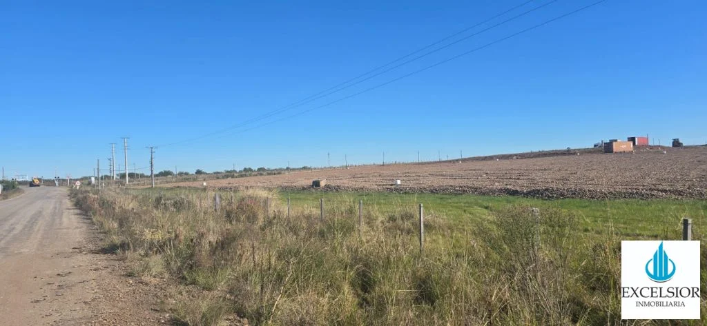 Camino El Tala - Imagen 1