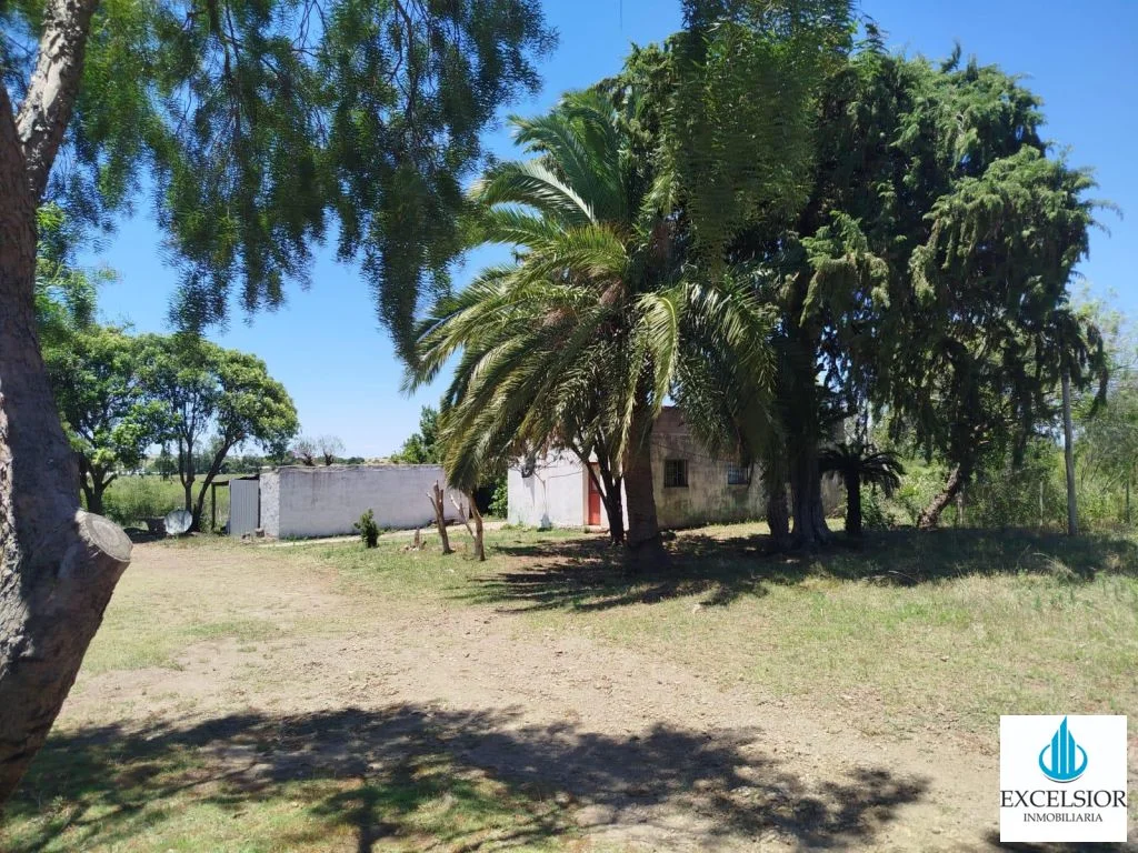Pueblo Centenario - Calle 33 Orientales - Imagen 1
