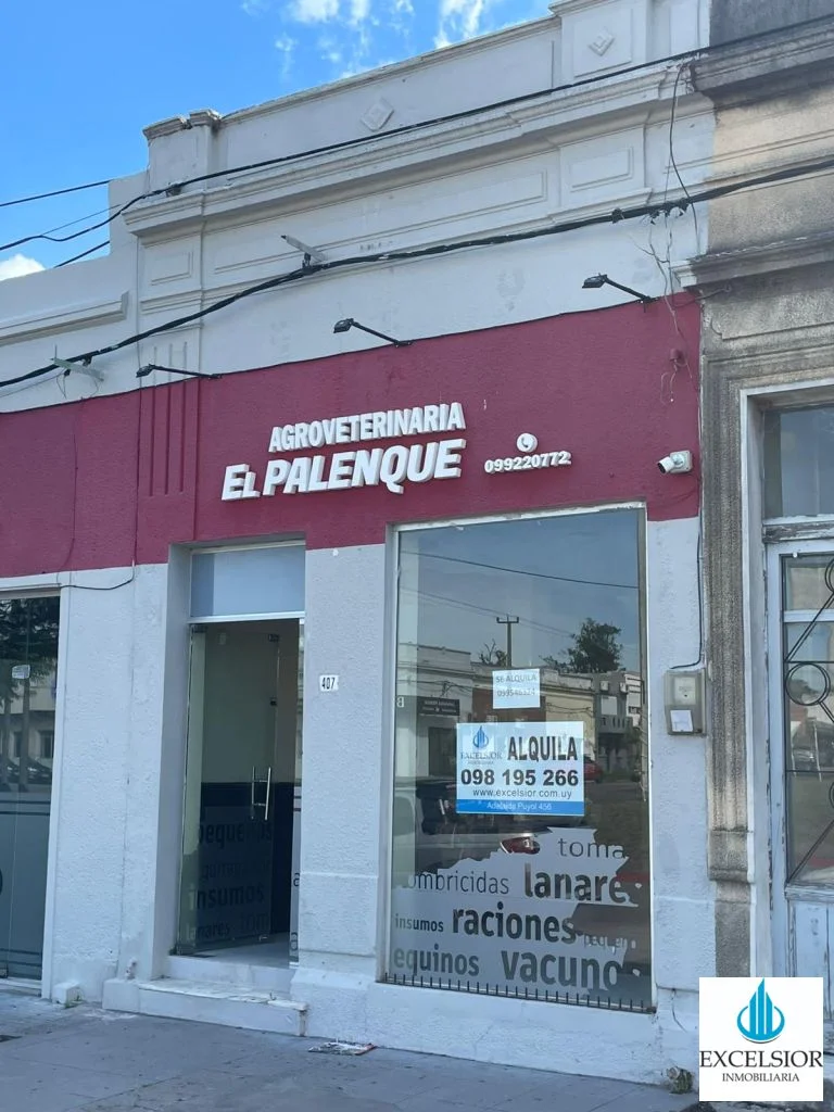 Bulevar Artigas - Imagen 1