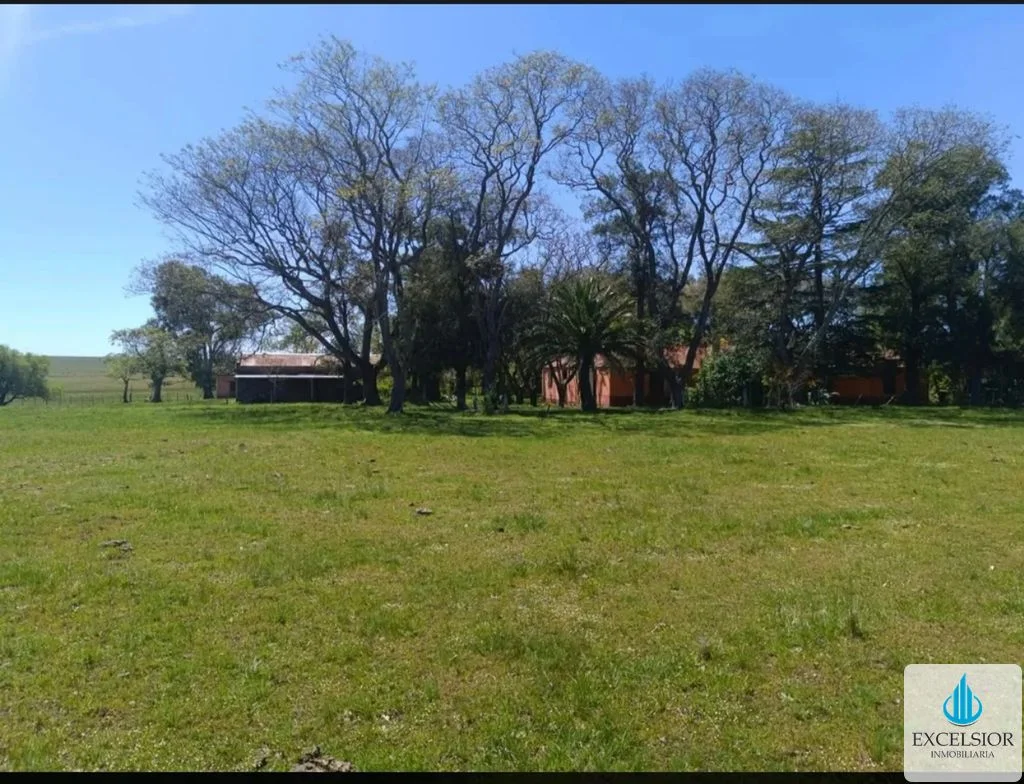 Paso de los Toros - Imagen 1